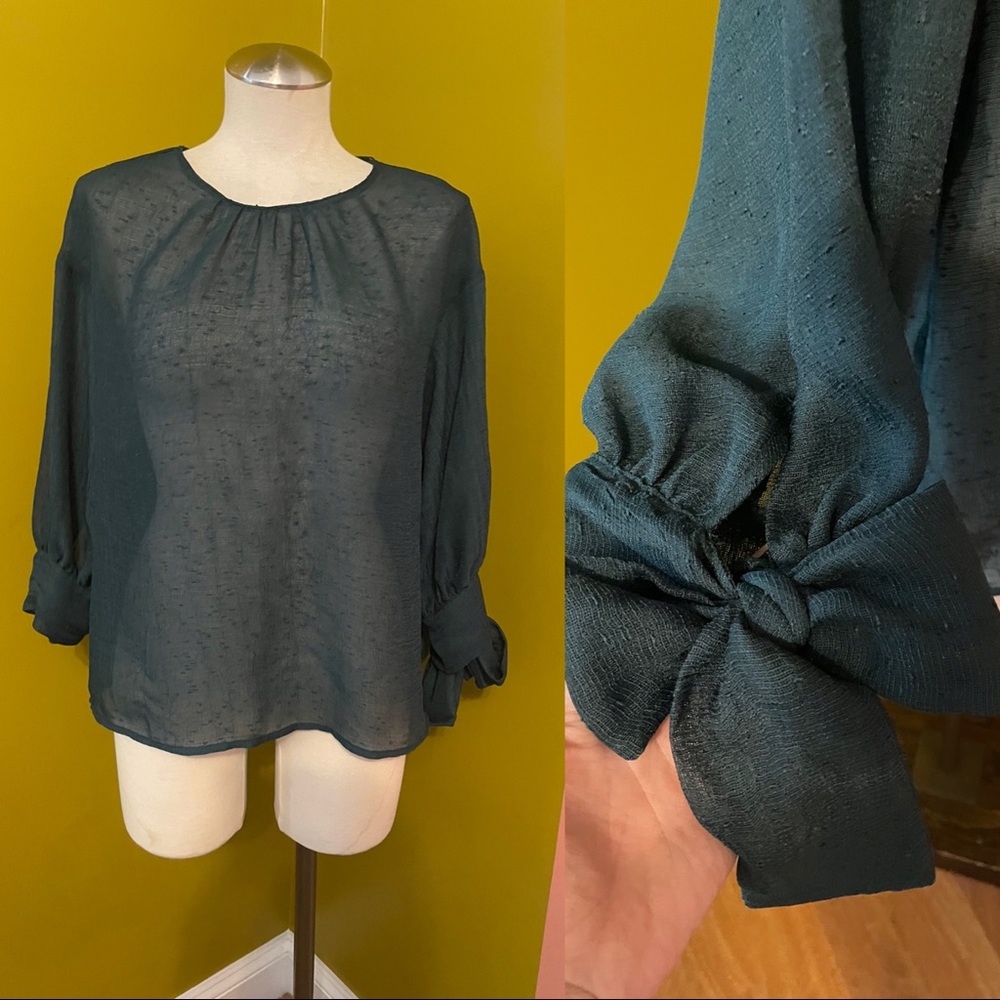 Zara shear forest green tunic blouse